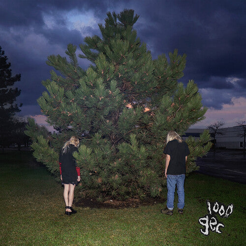 100 gecs: 1000 Gecs {VINYL LP}